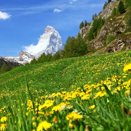 Imperial-1 By Interhome Zermatt